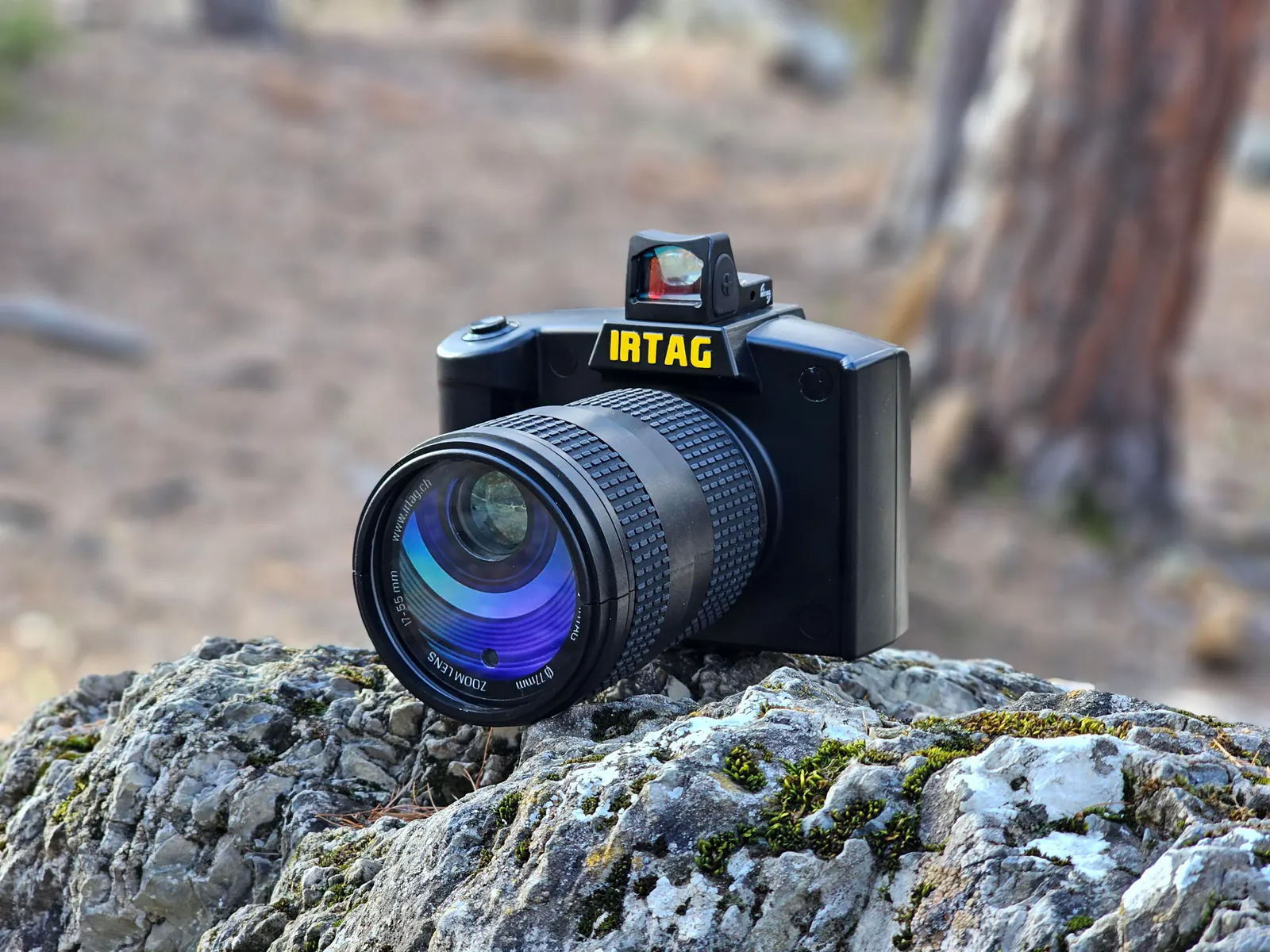 SafariPhoto